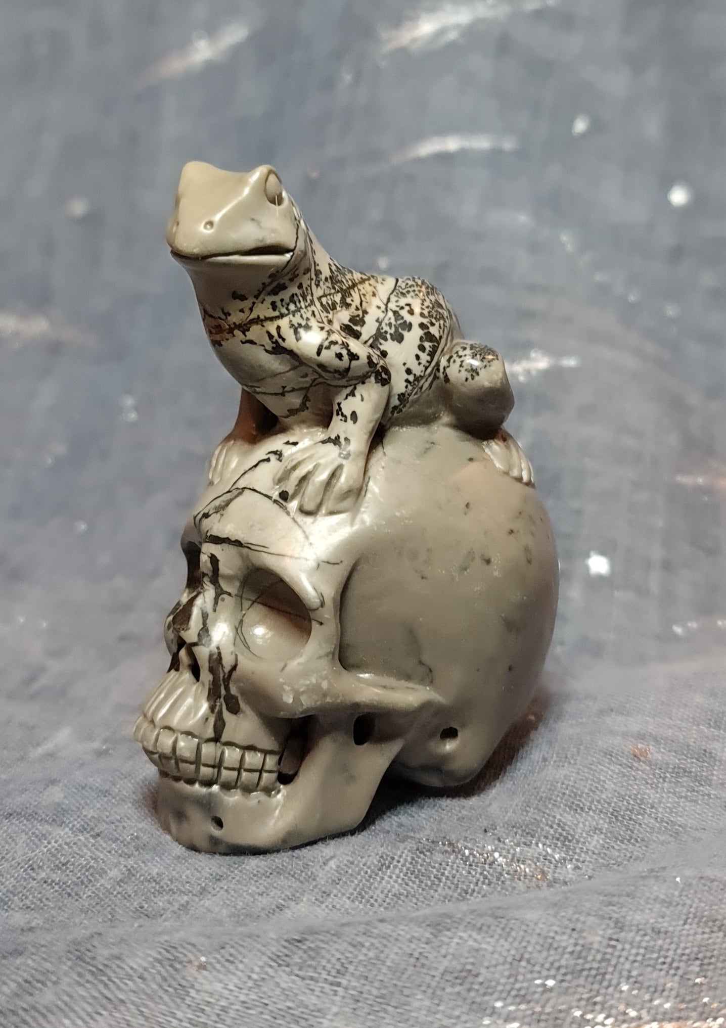 Dendritic Jasper Frog on Skull