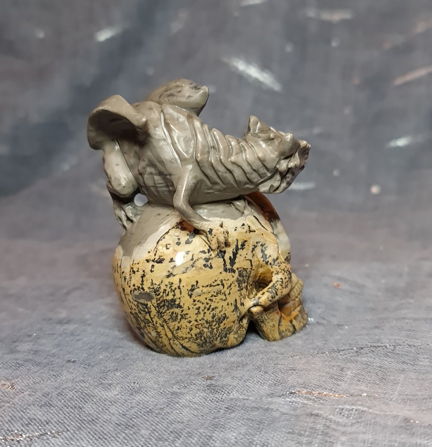 Dendritic Jasper Dragon on Skull