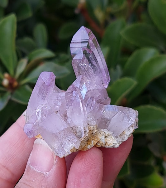 Vera Cruz Amethyst Specimen