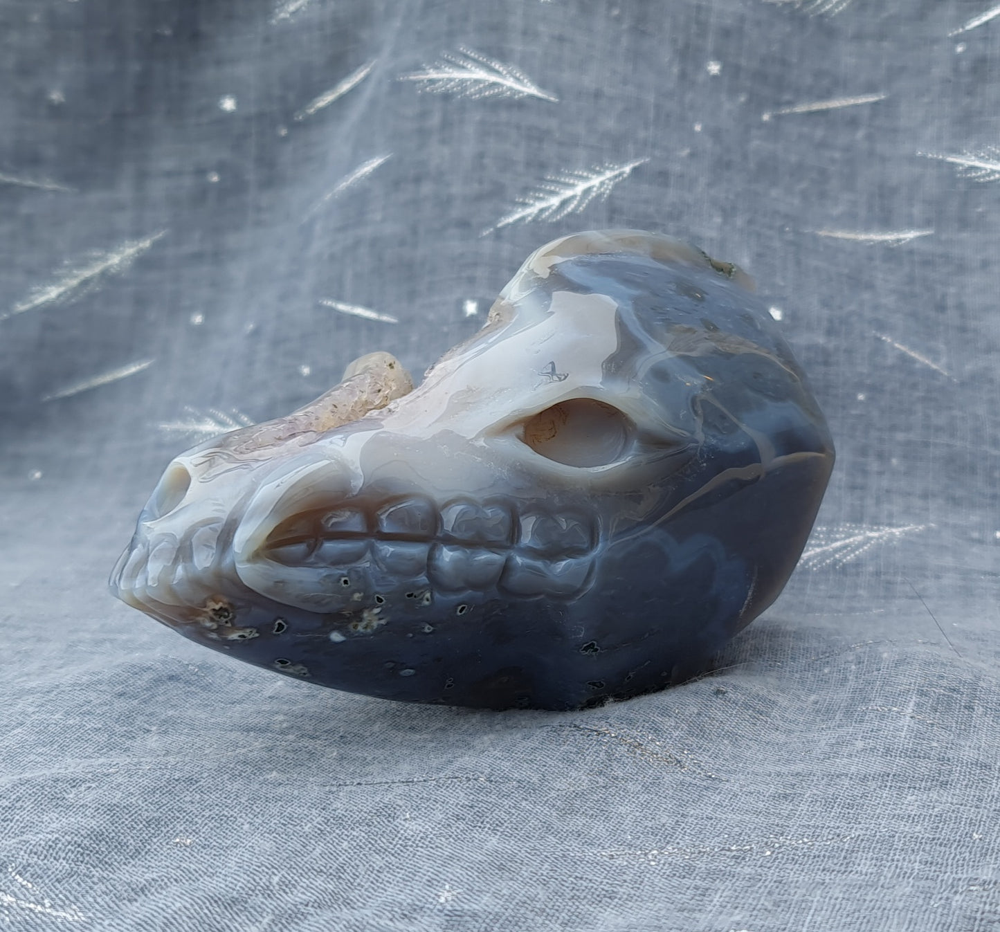 Agate Dragon Skull with Druzy
