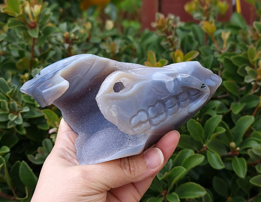 Agate Dragon Skull with Druzy