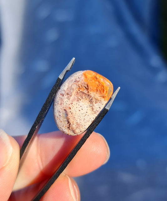 Mexican Cantera Opal