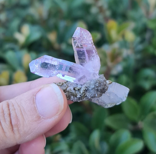 Vera Cruz Amethyst Specimen