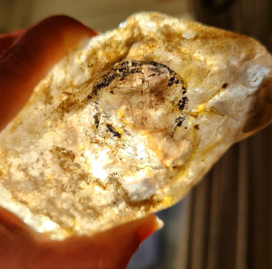 Smoky Quartz Enhydro