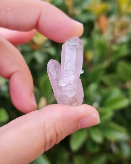 Vera Cruz Amethyst Specimen