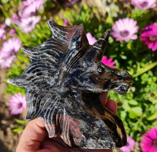 Arfvedsonite Unicorn