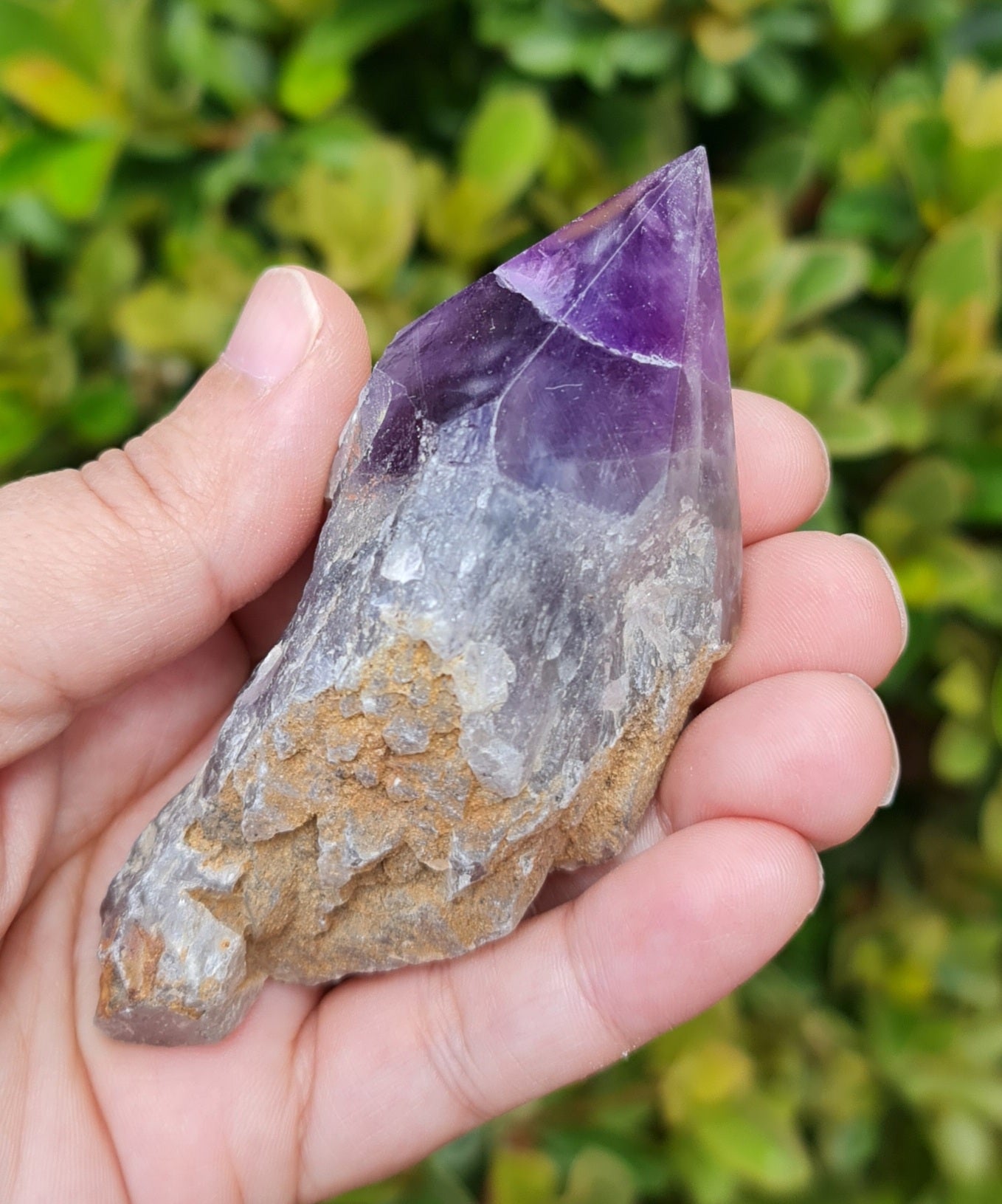 Chevron Amethyst Raw with Polished Point