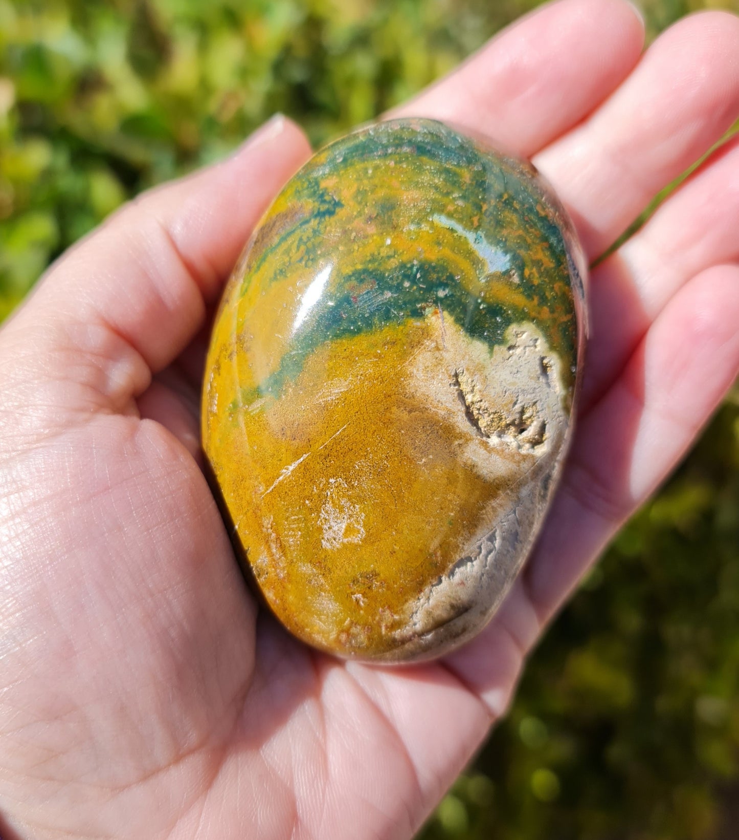 Ocean Jasper Palmstone