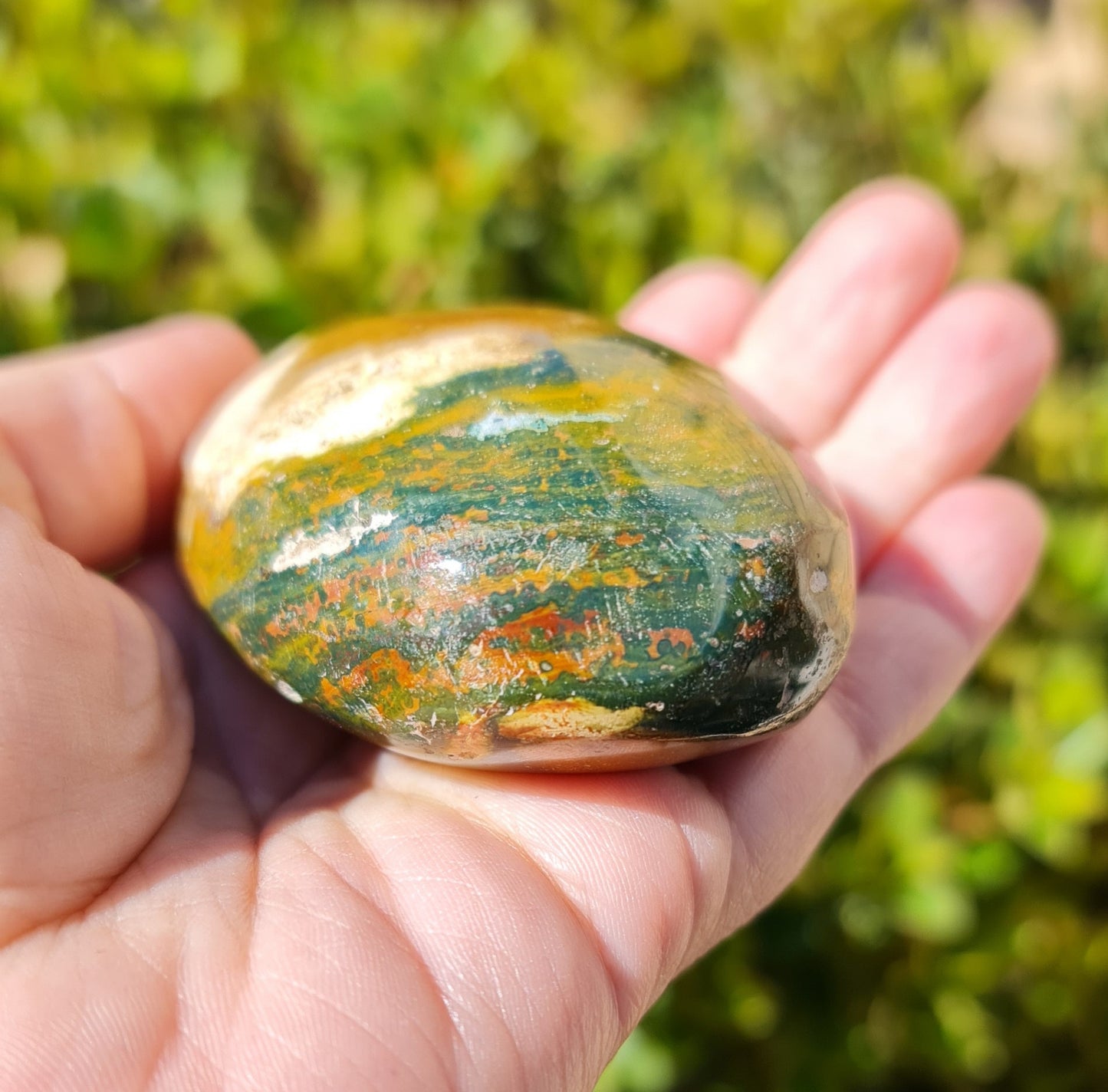 Ocean Jasper Palmstone