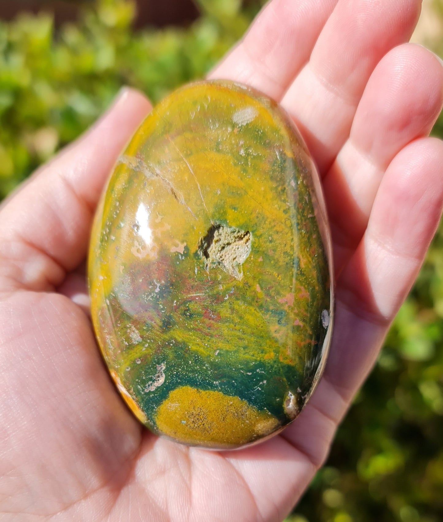 Ocean Jasper Palmstone