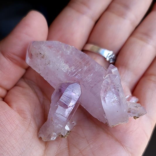 Vera Cruz Amethyst Specimen
