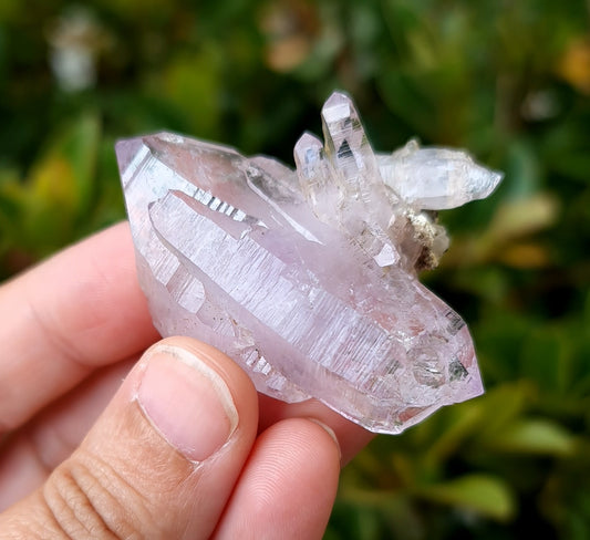 Vera Cruz Amethyst Specimen