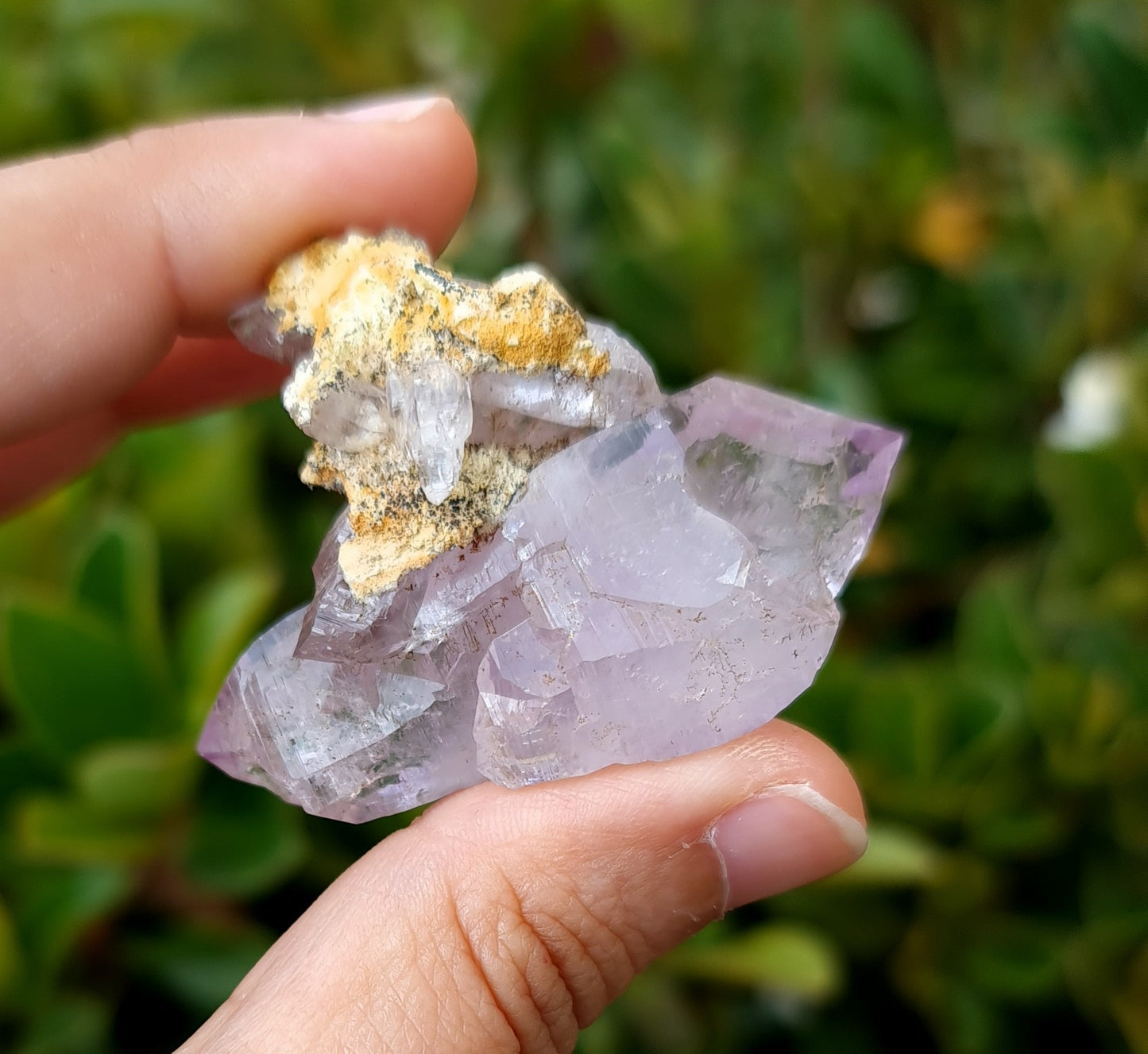 Vera Cruz Amethyst Specimen