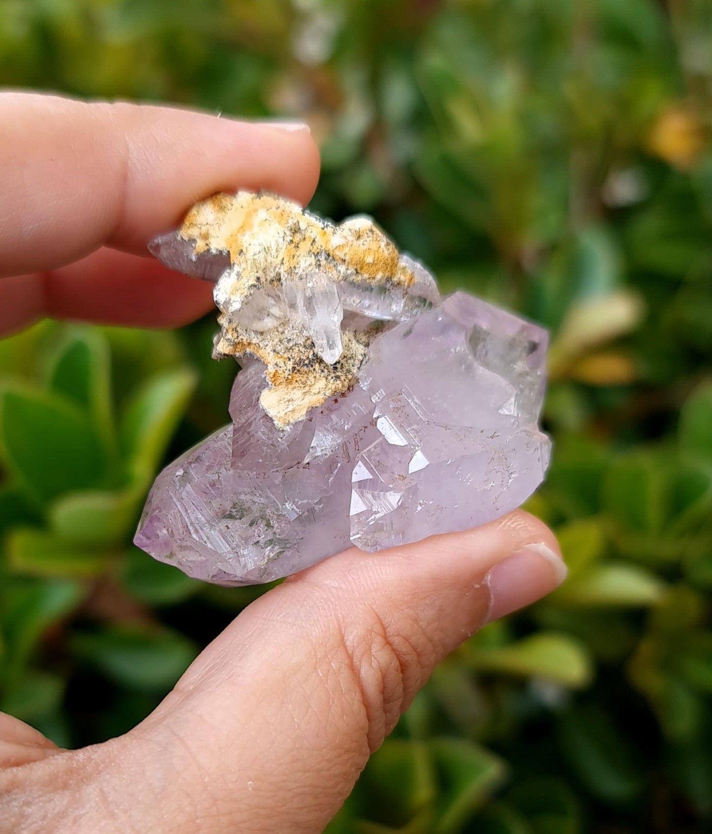 Vera Cruz Amethyst Specimen