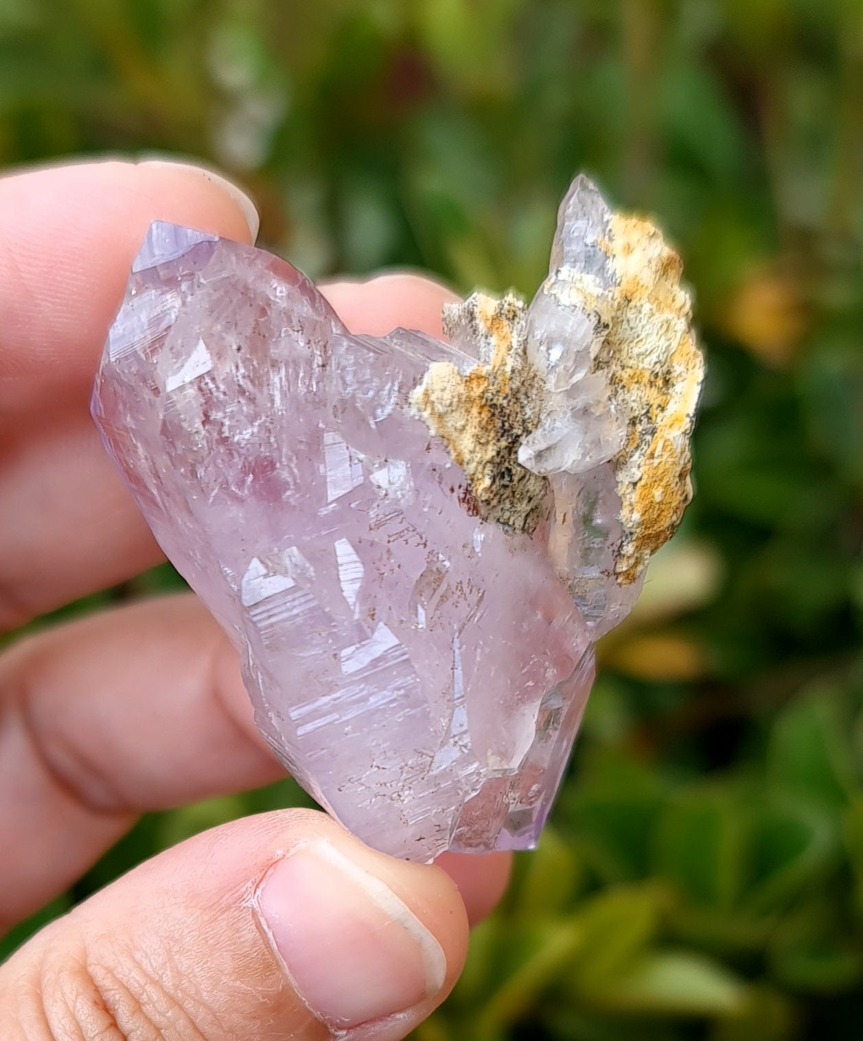 Vera Cruz Amethyst Specimen