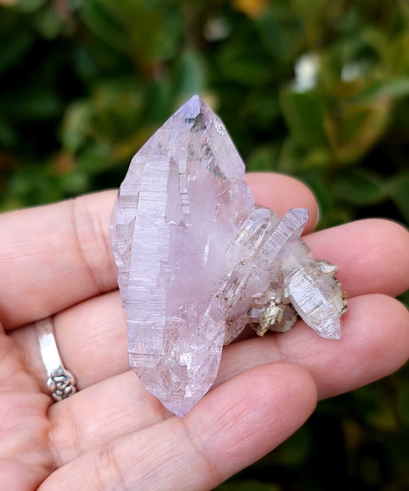 Vera Cruz Amethyst Specimen