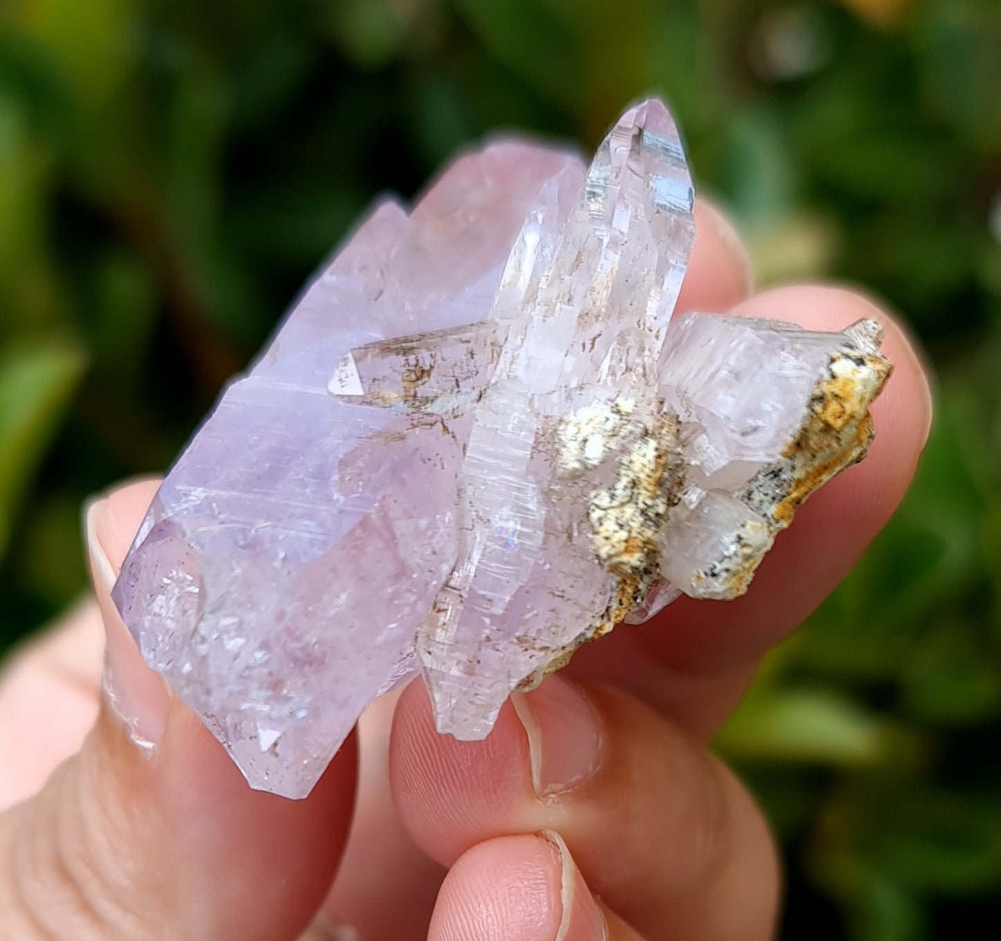 Vera Cruz Amethyst Specimen