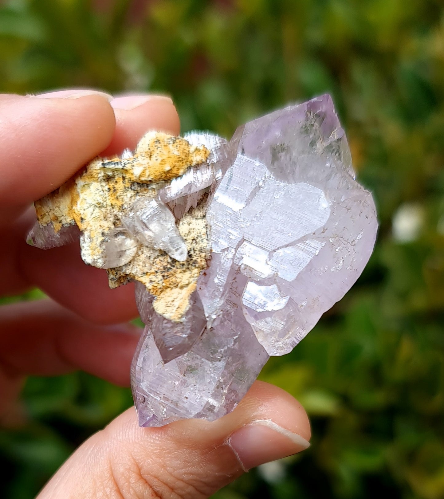 Vera Cruz Amethyst Specimen