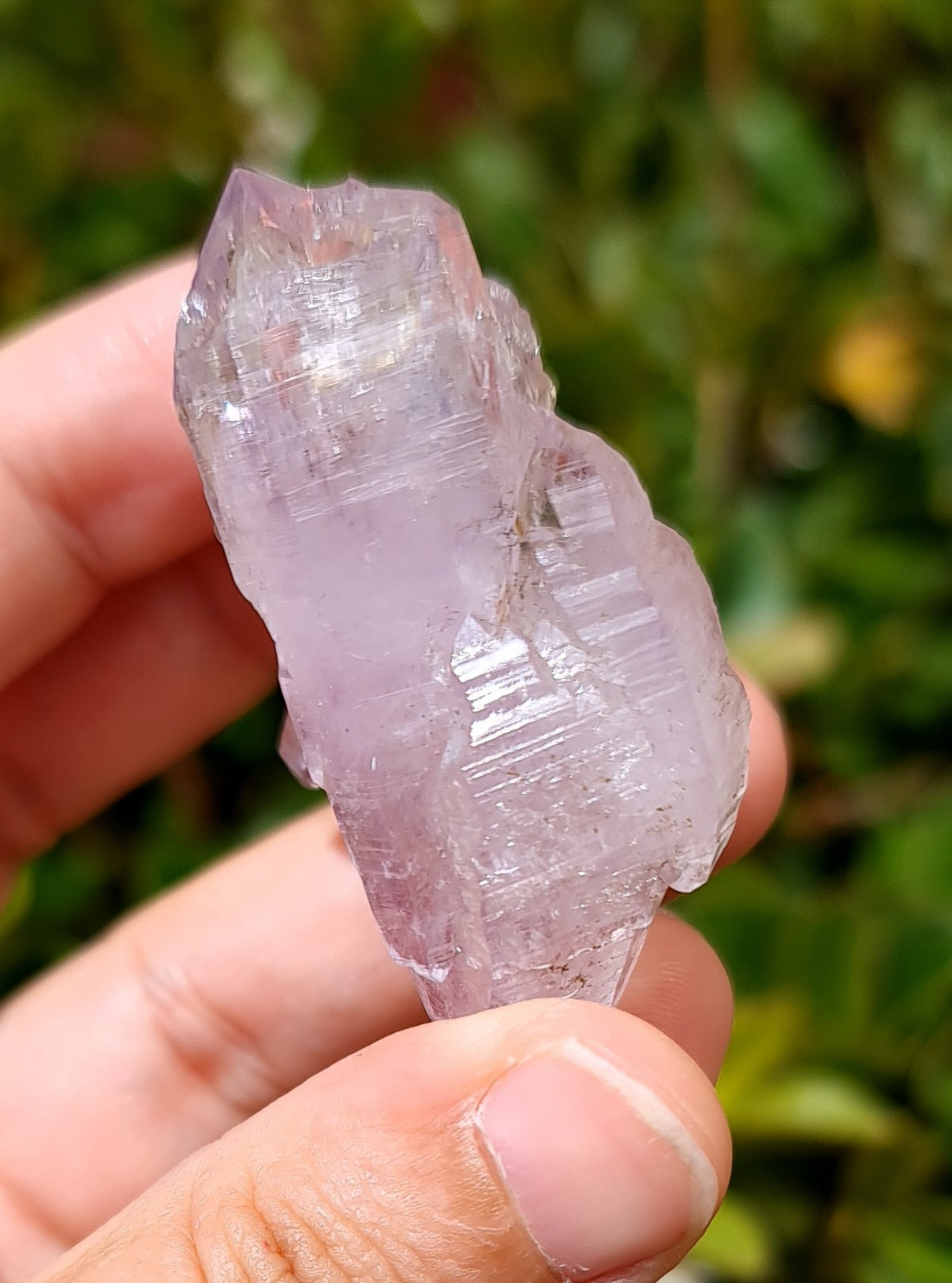 Vera Cruz Amethyst Specimen