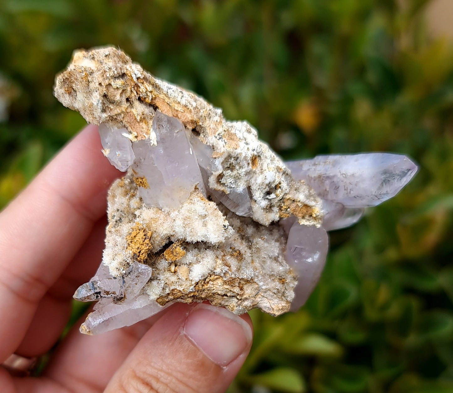 Vera Cruz Amethyst Specimen