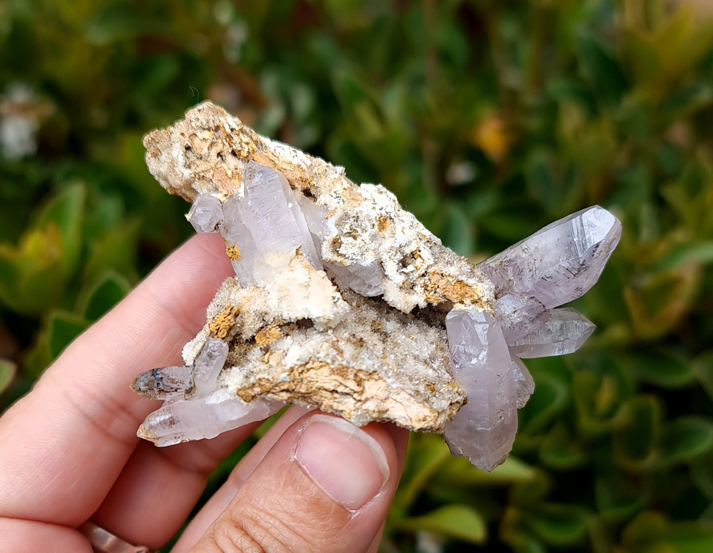 Vera Cruz Amethyst Specimen