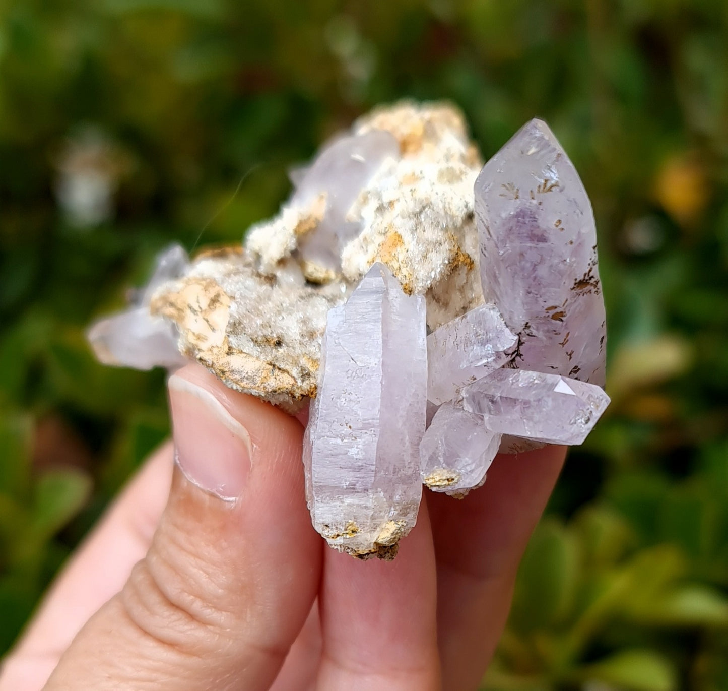 Vera Cruz Amethyst Specimen