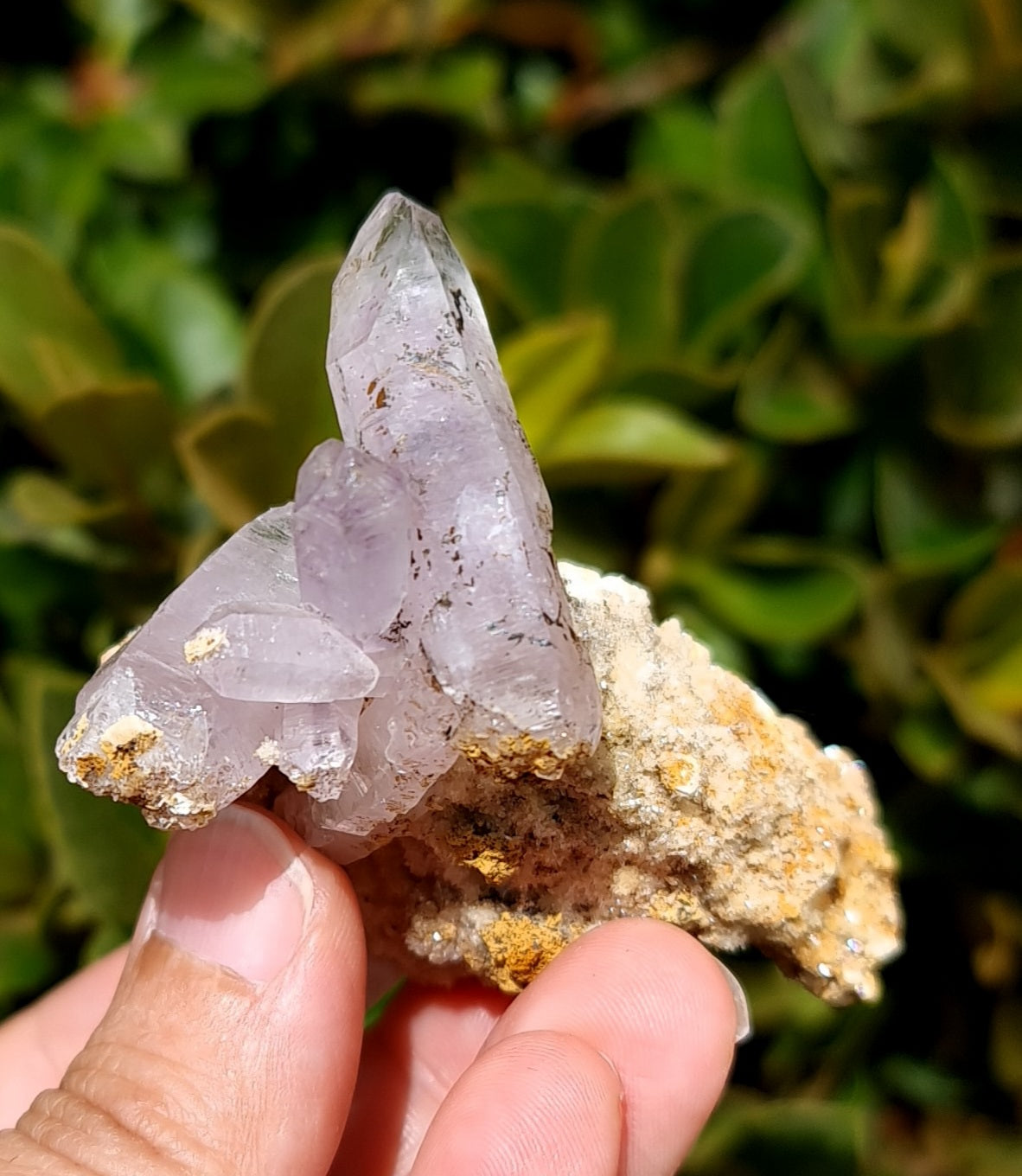 Vera Cruz Amethyst Specimen