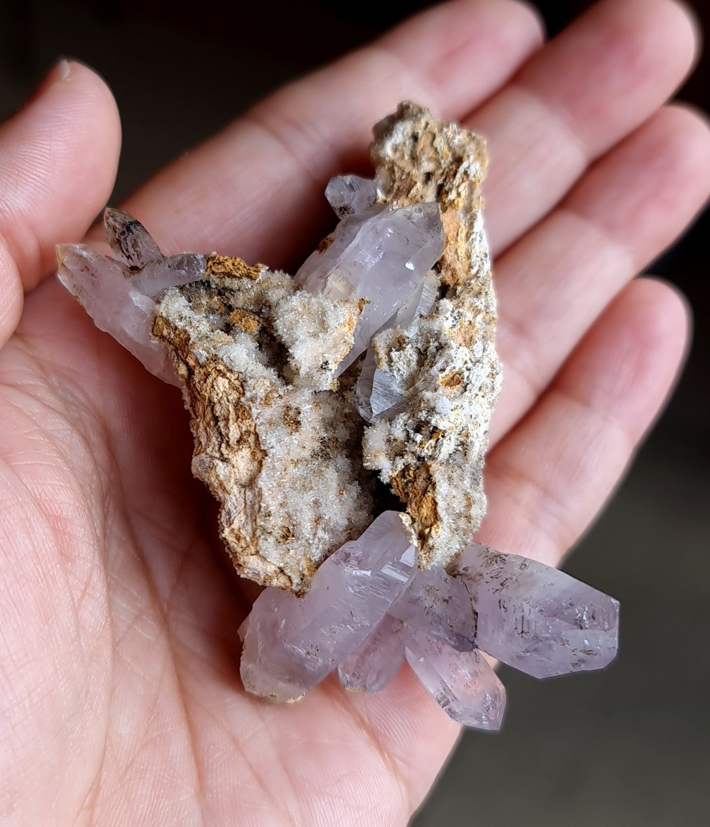 Vera Cruz Amethyst Specimen