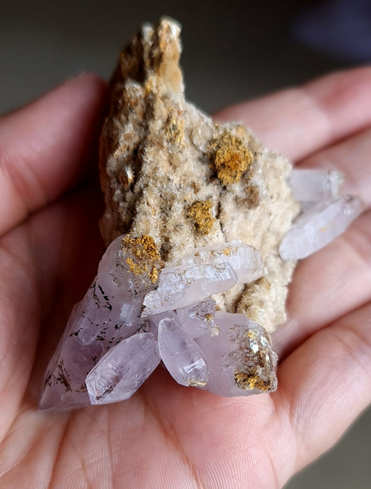 Vera Cruz Amethyst Specimen