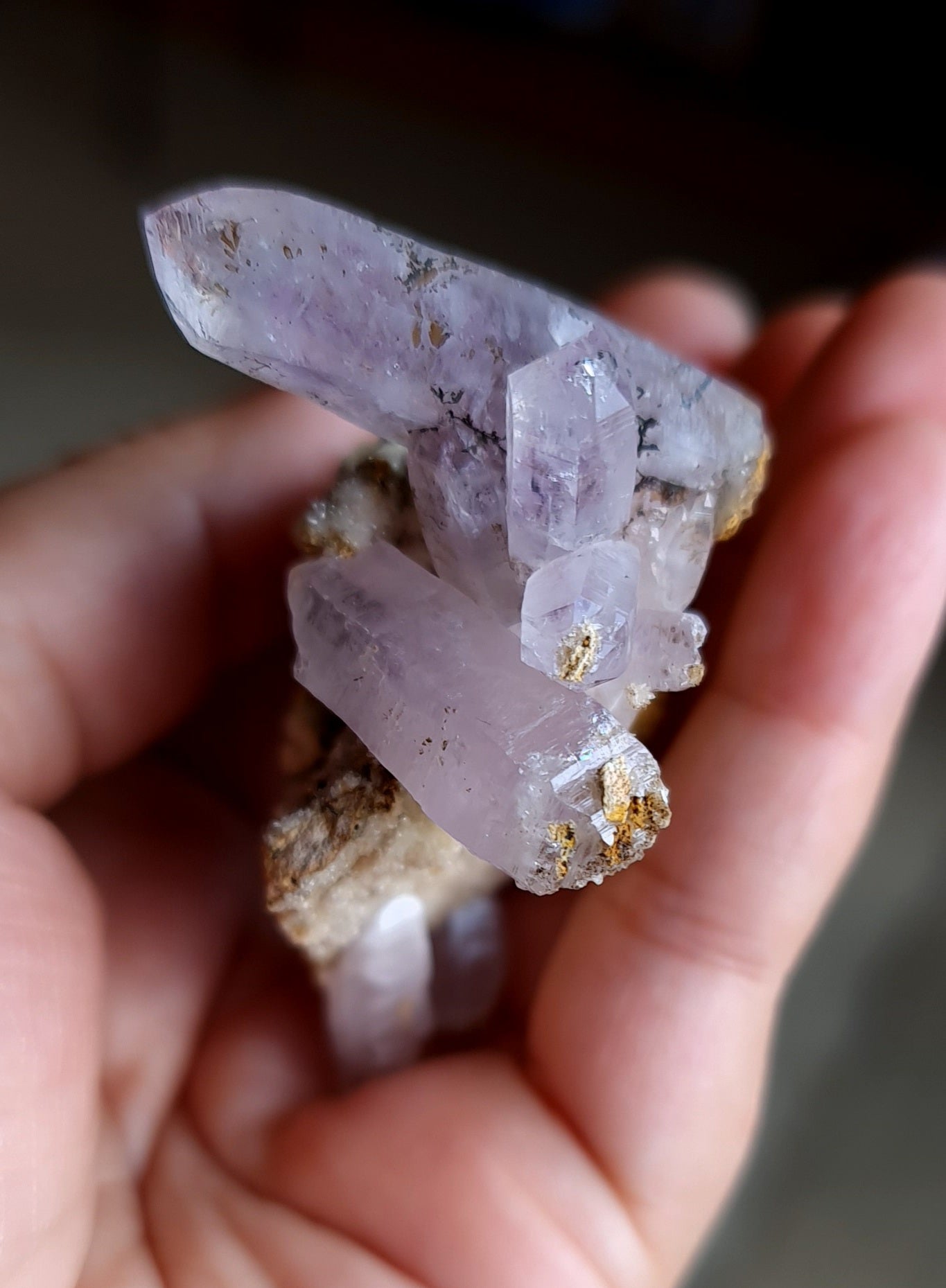 Vera Cruz Amethyst Specimen