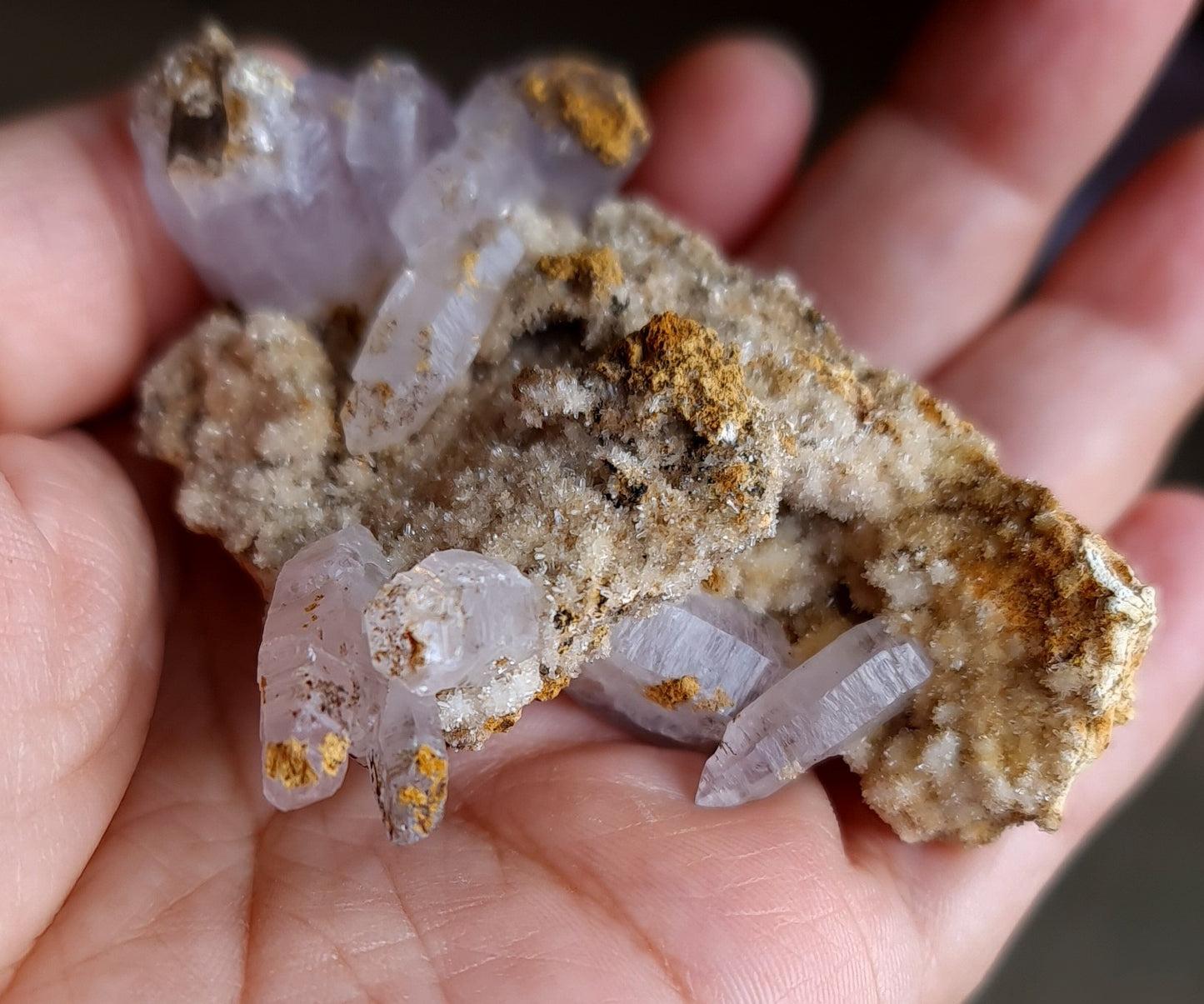 Vera Cruz Amethyst Specimen