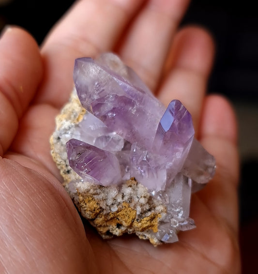 Vera Cruz Amethyst Specimen