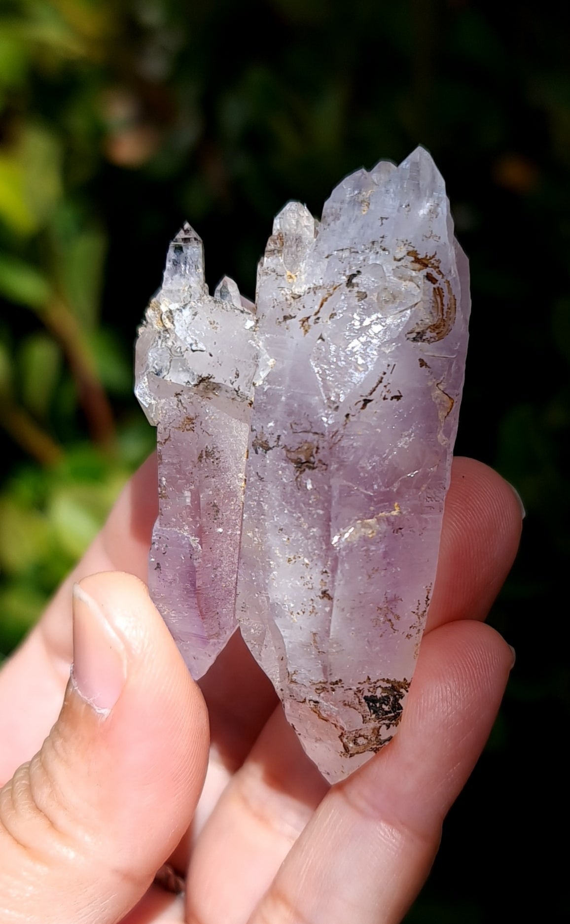 Vera Cruz Amethyst Specimen