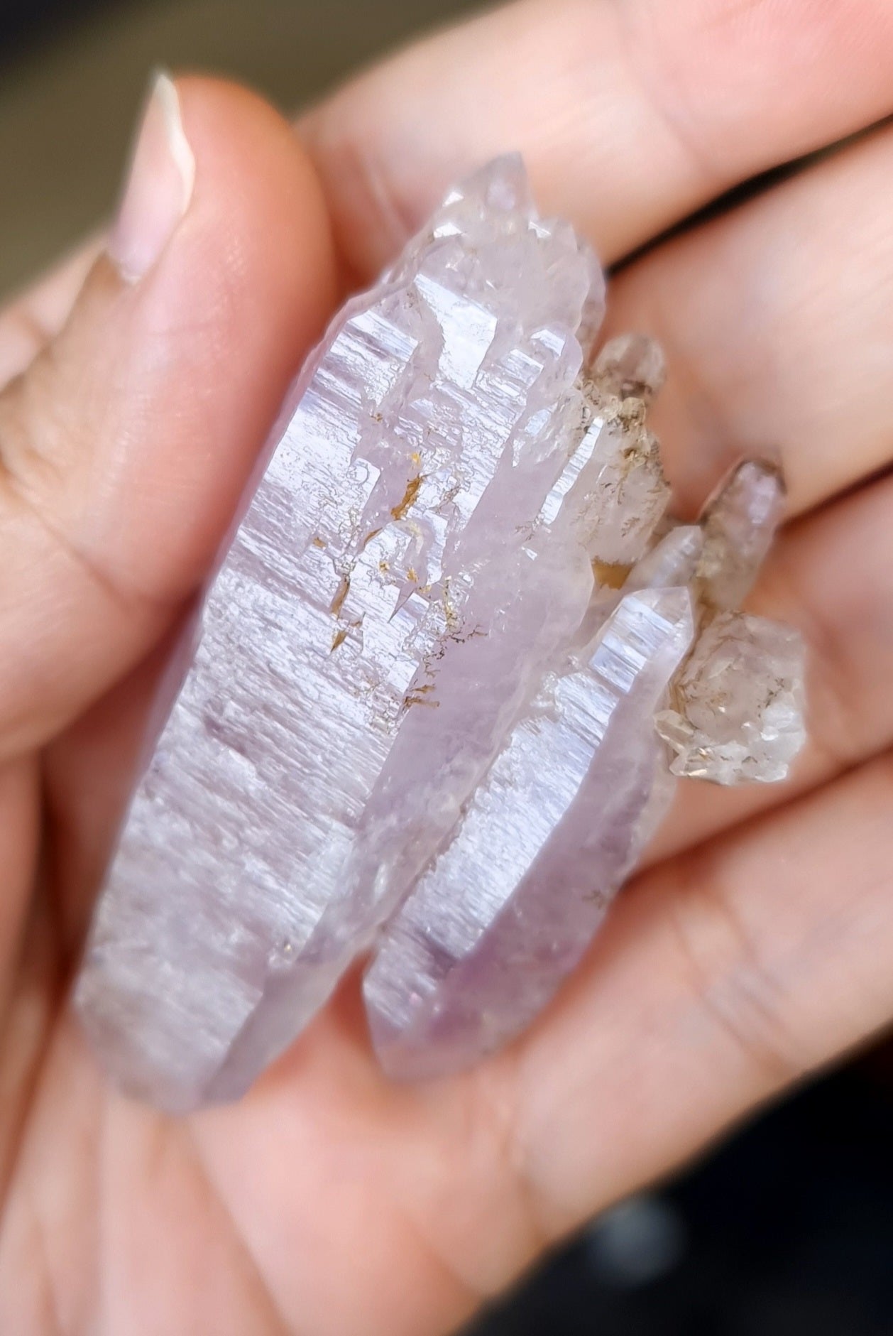 Vera Cruz Amethyst Specimen