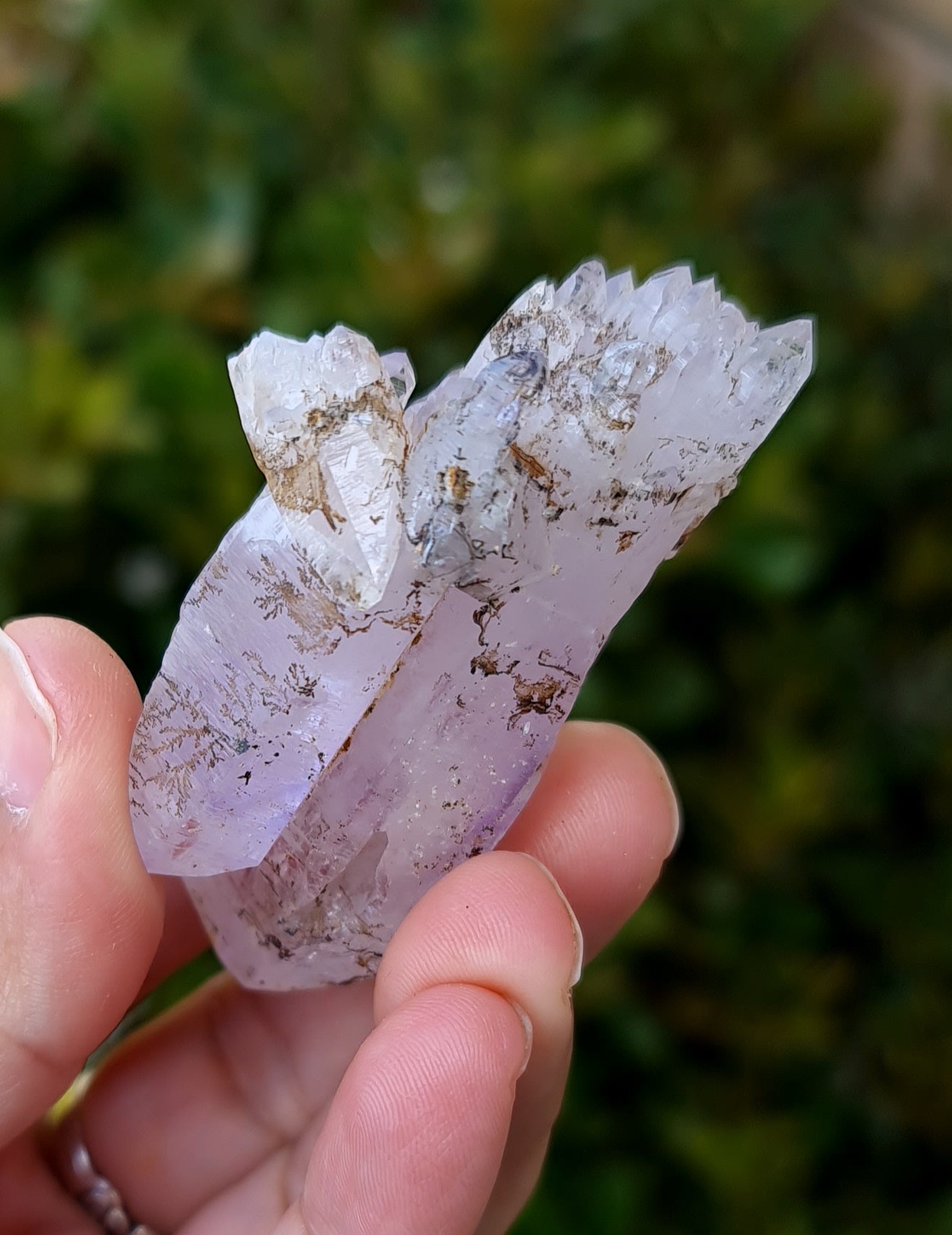 Vera Cruz Amethyst Specimen