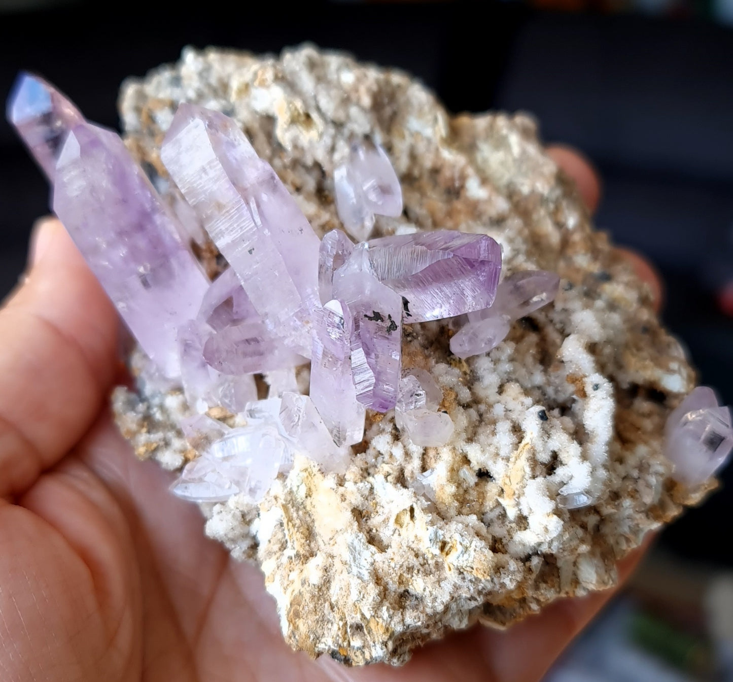 Vera Cruz Amethyst Specimen