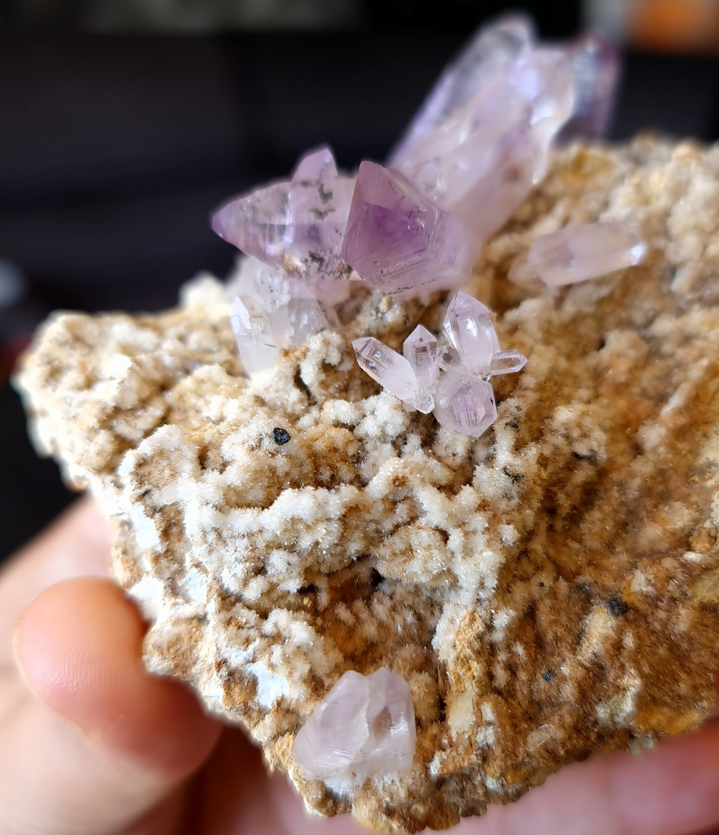 Vera Cruz Amethyst Specimen