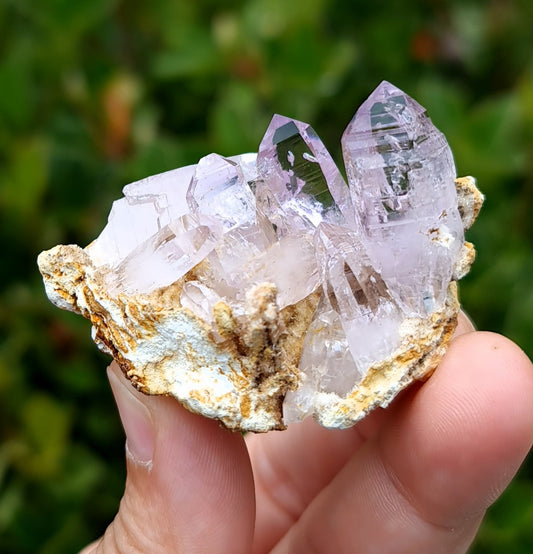 Vera Cruz Amethyst Specimen