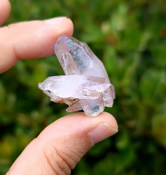 Vera Cruz Amethyst Specimen