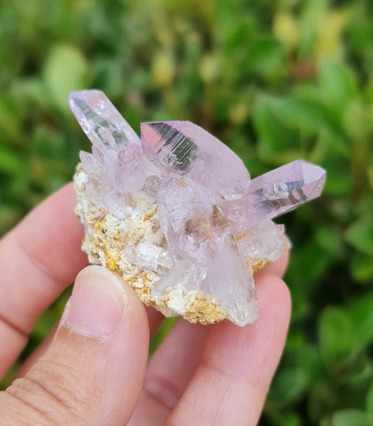 Vera Cruz Amethyst Specimen