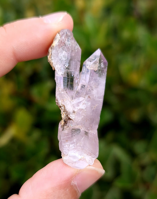 Vera Cruz Amethyst Specimen