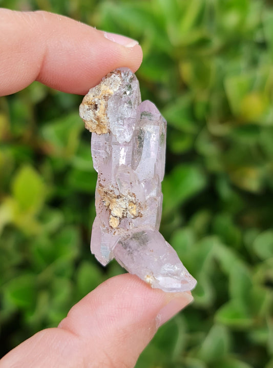 Vera Cruz Amethyst Specimen