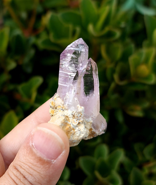 Vera Cruz Amethyst Specimen