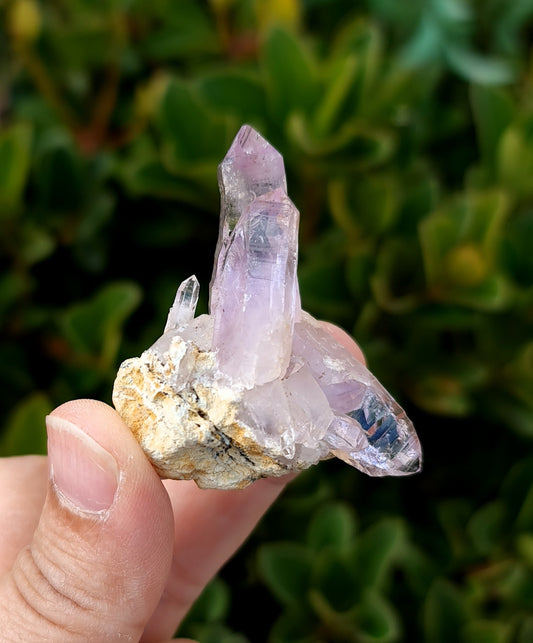 Vera Cruz Amethyst Specimen