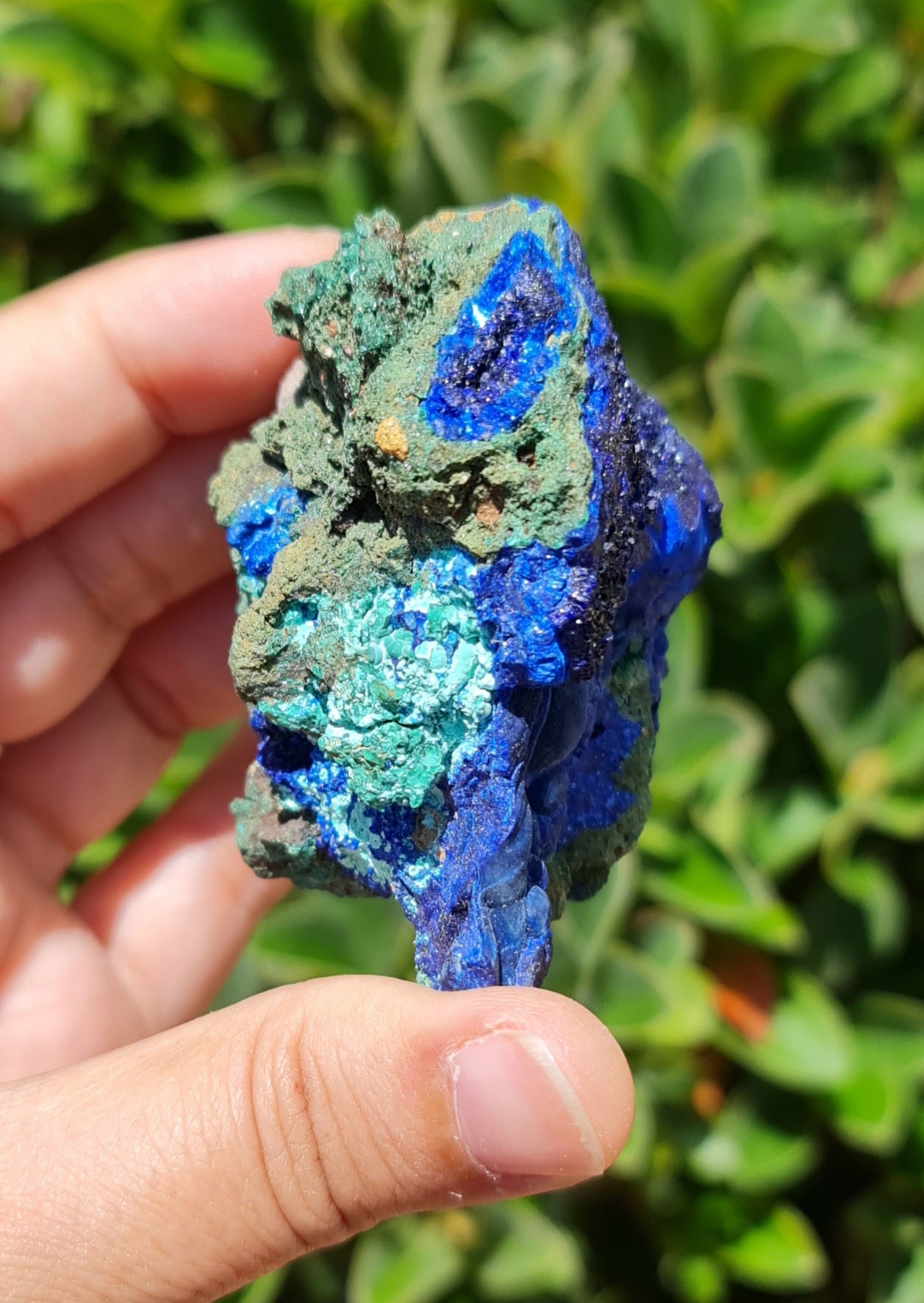 Azurite with Malachite Specimen