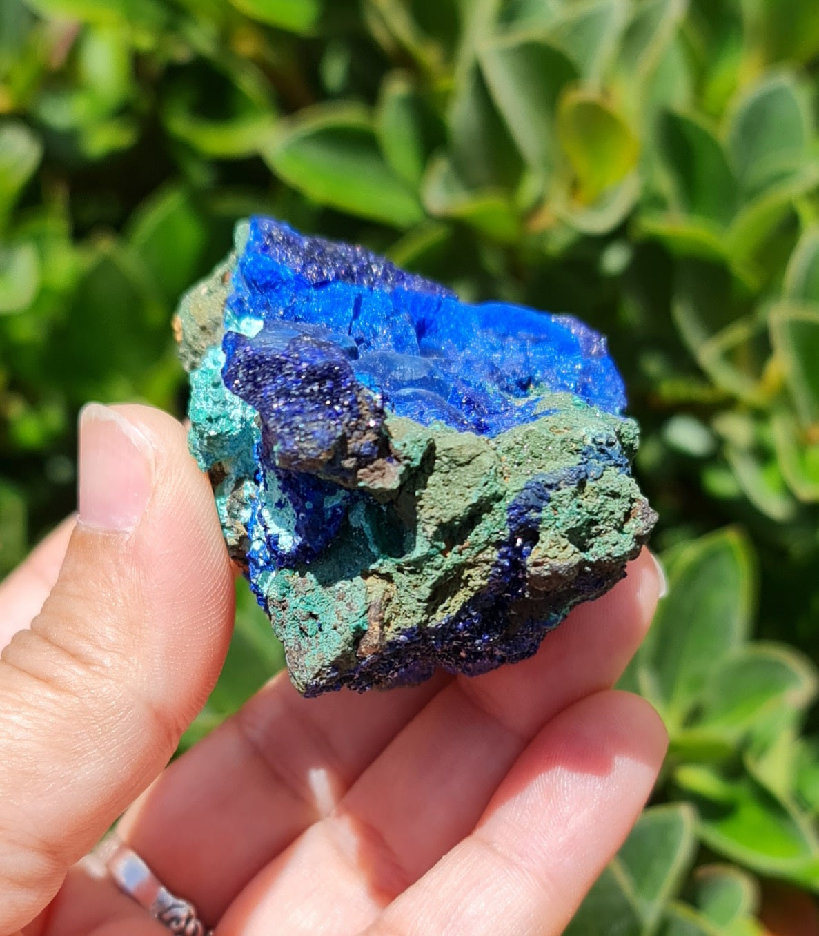 Azurite with Malachite Specimen