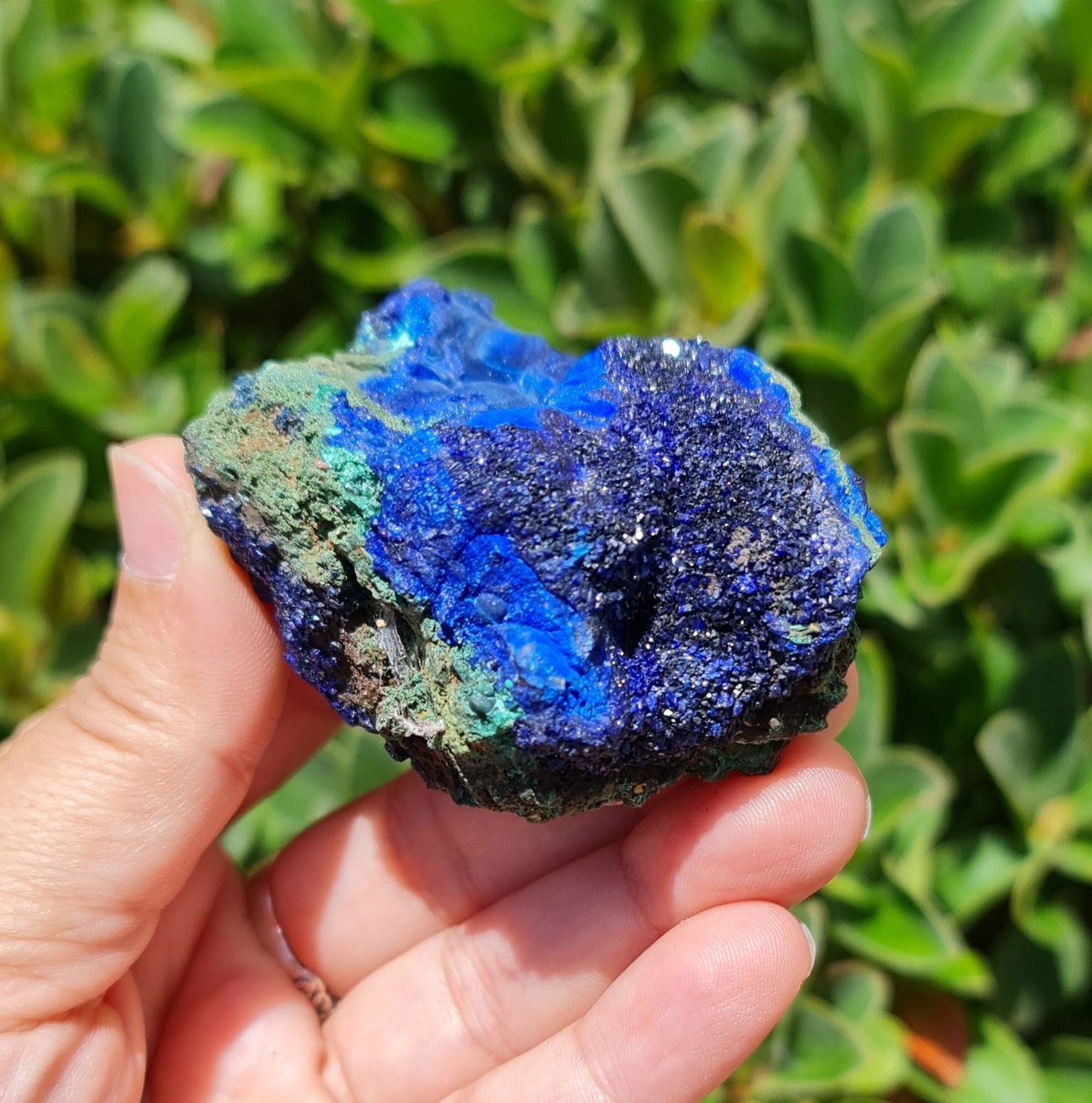 Azurite with Malachite Specimen