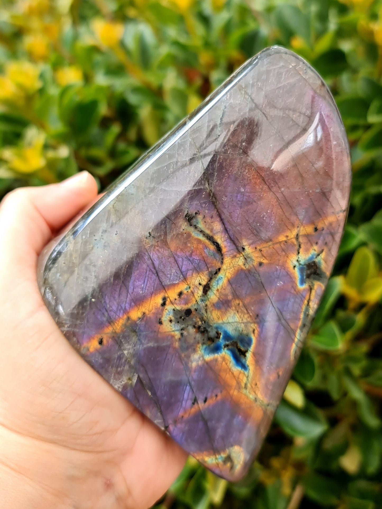 Purple Labradorite Freeform