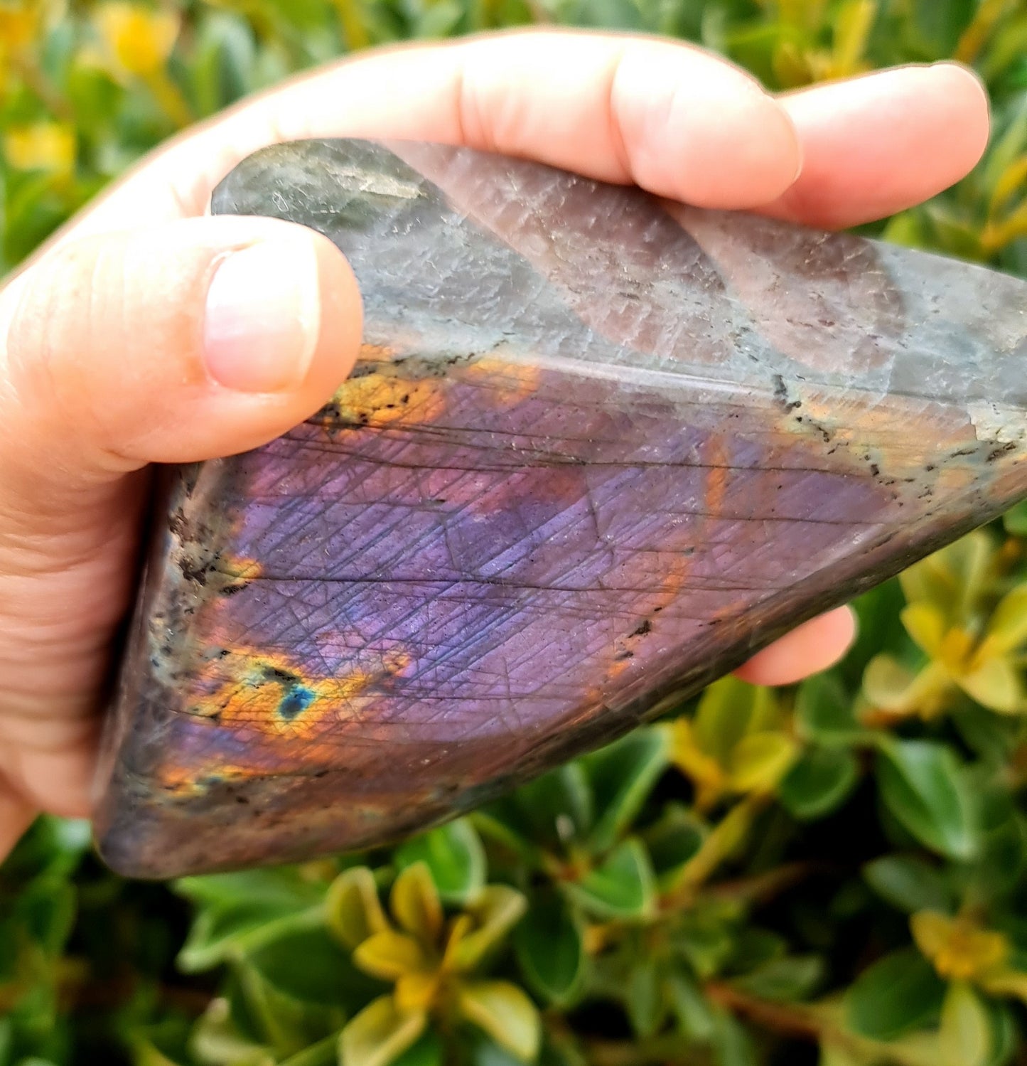 Purple Labradorite Freeform