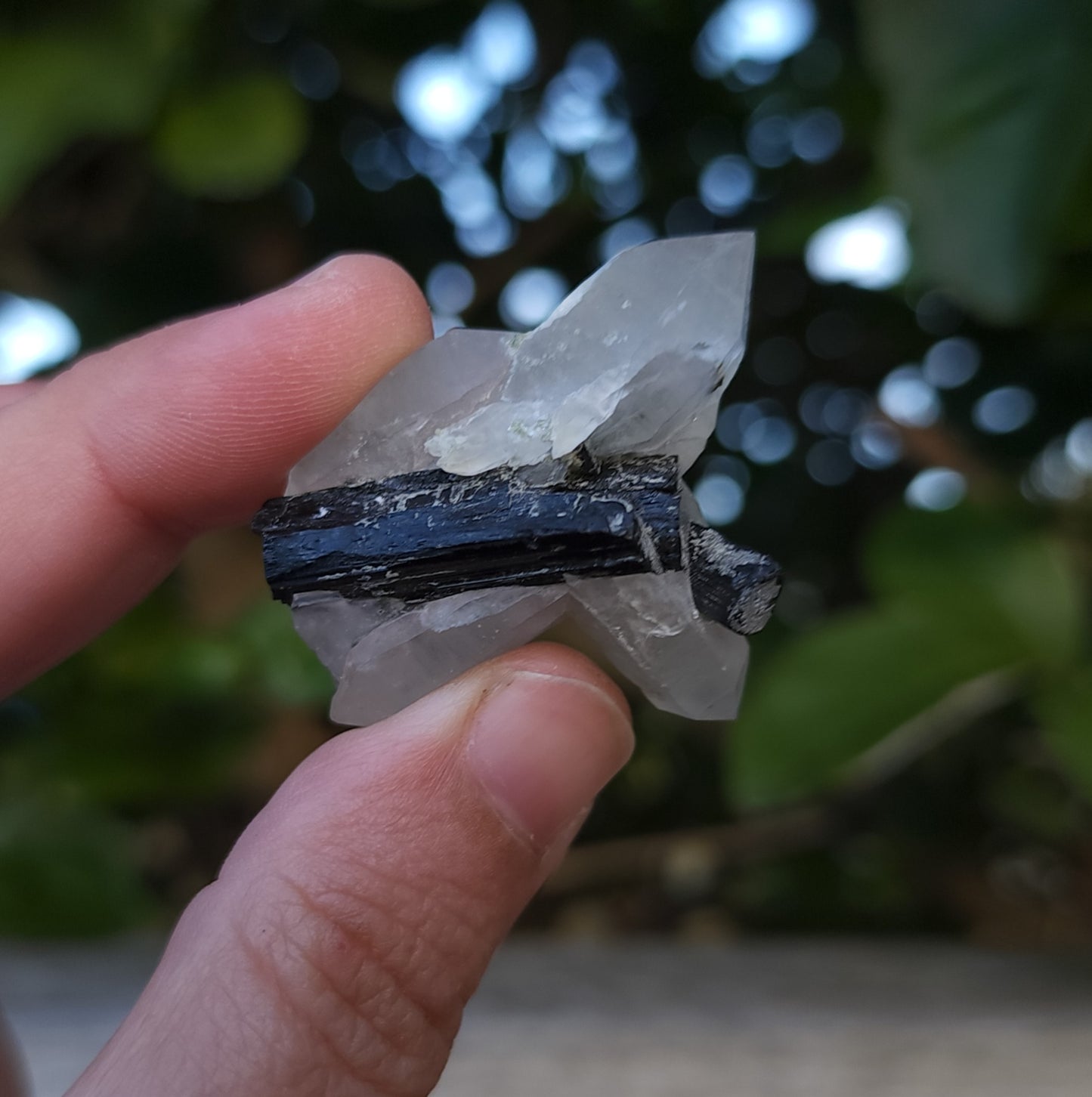 Tourmaline in Quartz Specimen